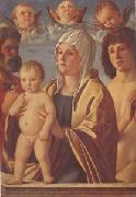 Giovanni Bellini The Virgin and Child Between Peter and Sebastian (mk05) oil painting picture wholesale
